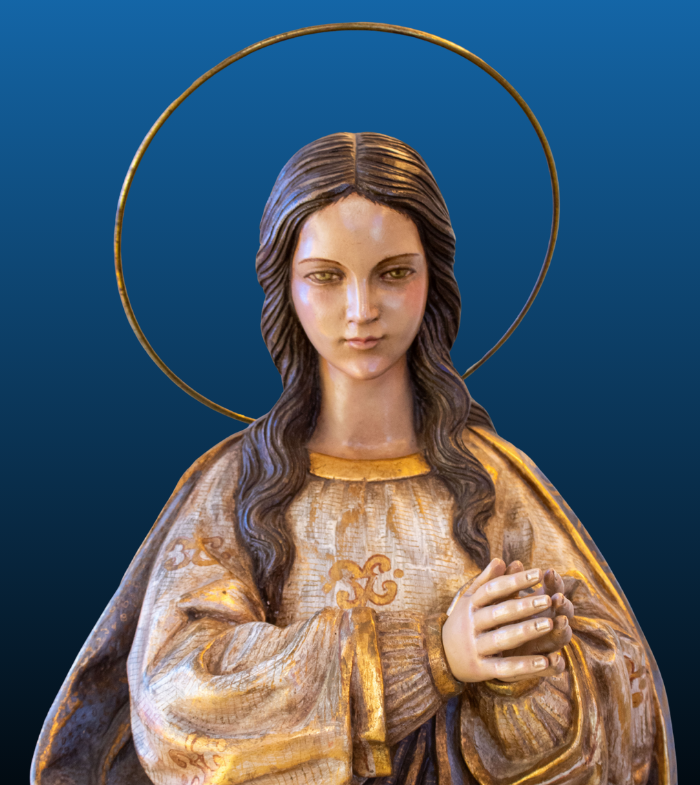 Inmaculada Concepción 2025 Patrona de nuestro Seminario